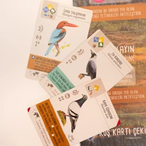 Wingspan-Asya-Neotroy-2