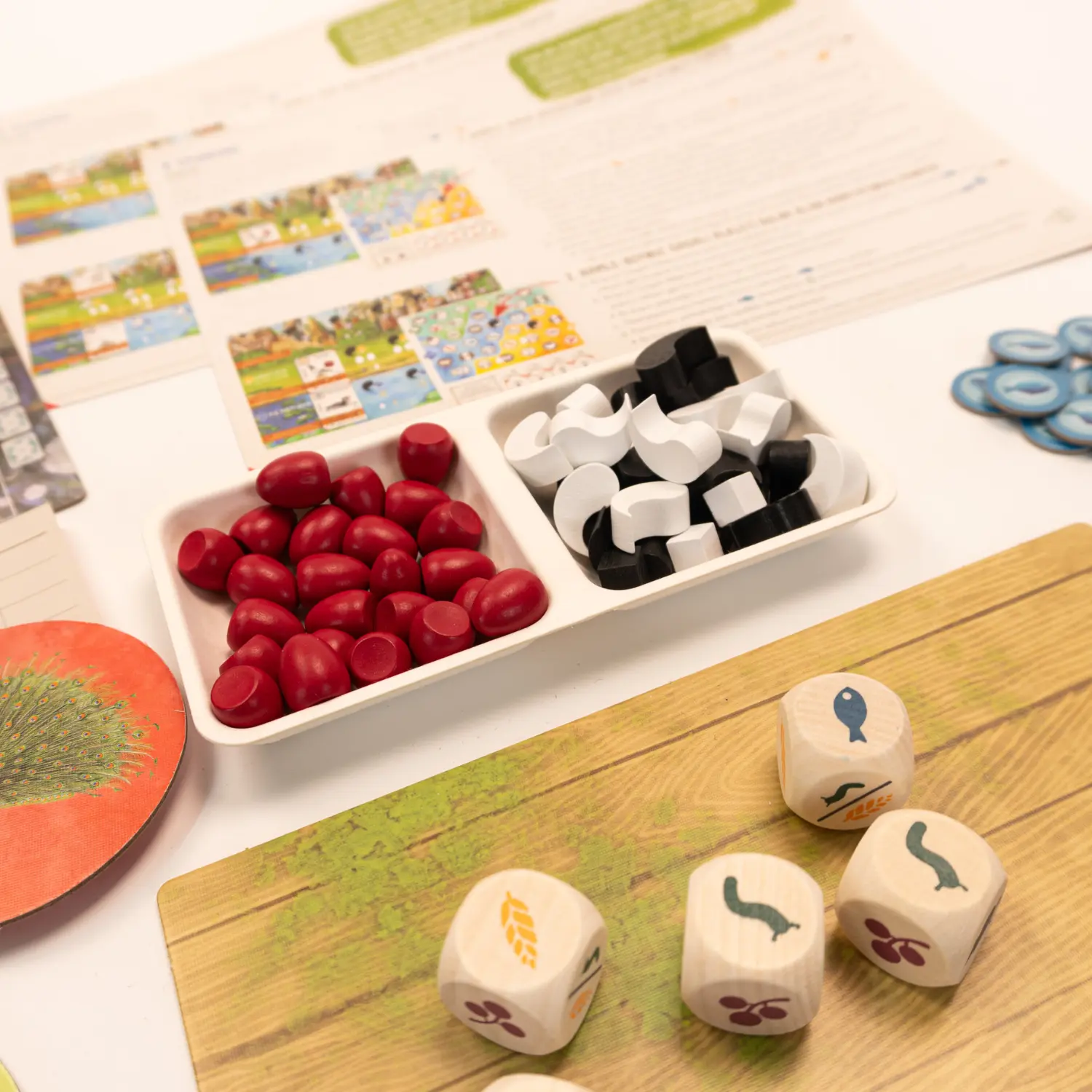 Wingspan-Asya-Neotroy-3