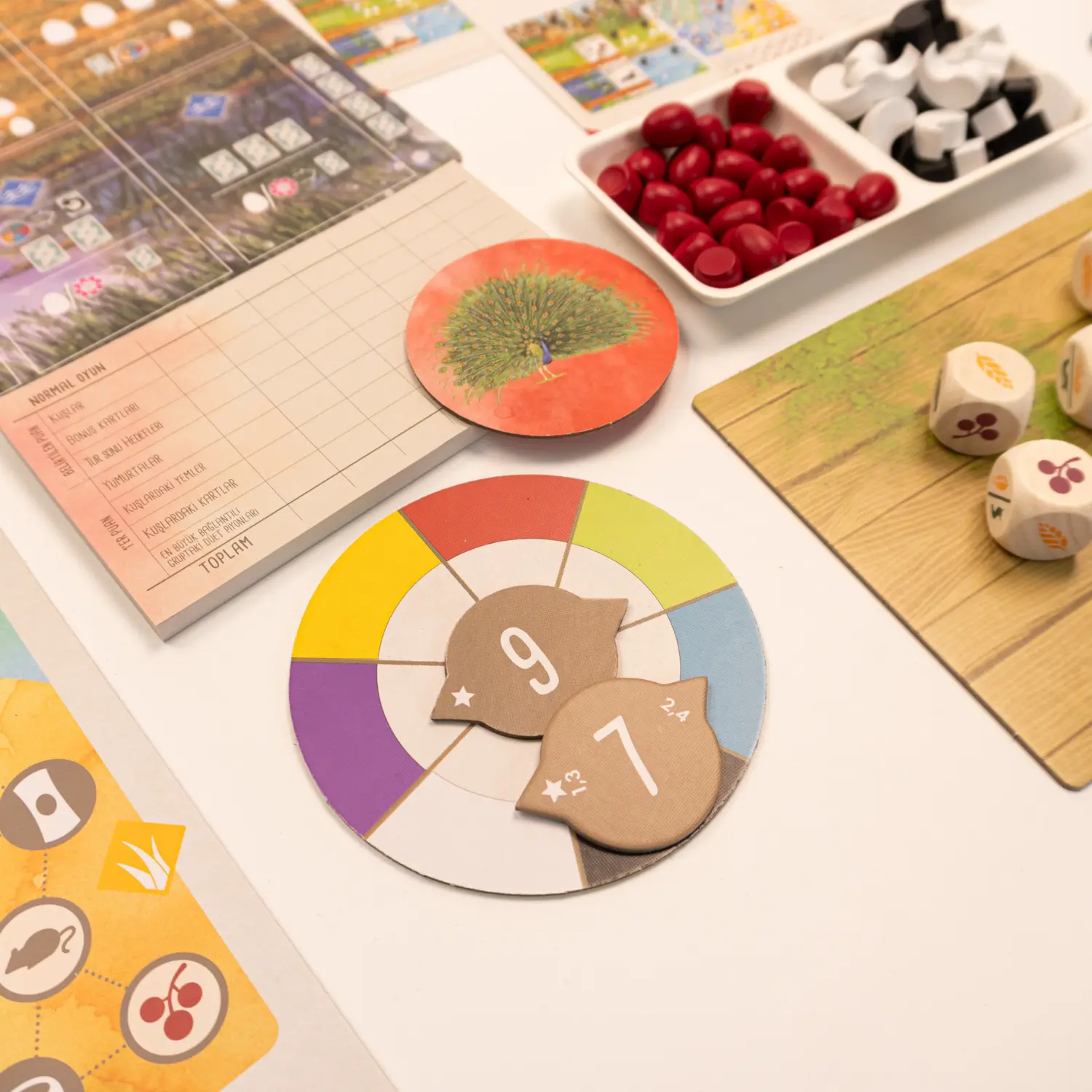 Wingspan-Asya-Neotroy-4