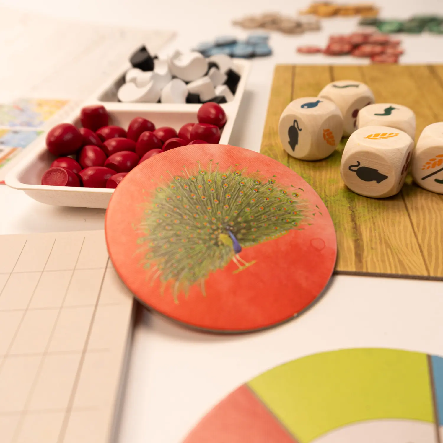 Wingspan-Asya-Neotroy-7