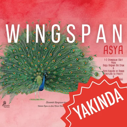 Wingspan Asya